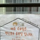 캣인큐브 이미지