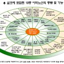 실크 아미노산의 효능 이미지