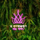 클로이앤수