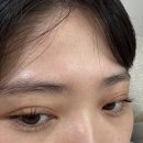 석뷰티 | [산본역속눈썹펌] 더뷰티 속눈썹펌(듀얼펌) 후기