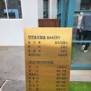 씨앤텔 | 제주 반려견 동반카페 외도339에 8개월아기랑 방문해보기