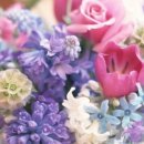 아들농장 이미지