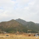 사지목나무그늘 이미지