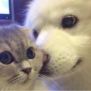 (주)부지런 이미지