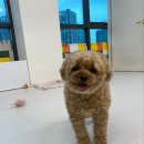 우다닷 이미지