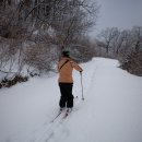 청태산휴양림 이미지