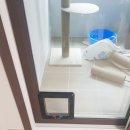 부산펫(주) 이미지