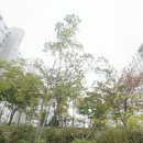 문현아이파크 이미지