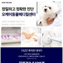 송도 종합 동물병원 이미지