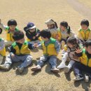 대흥동 유아숲체험원 이미지