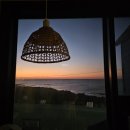 지니어컴퍼니 | 강아지2마리와 나홀로 제주여행 6일차