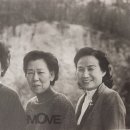 로23 건너편 이미지