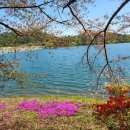 세일주유소 화장실 이미지