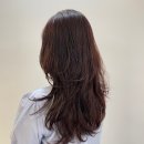 아라살롱