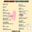 중국어 회화:기초 이미지