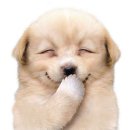 소로(국)1-7-2 | 프라하 성/존 레논 벽/성 비투스 대성당/황금소로/까를교/하벨 시장/올드타운(구시가지) 광장 천문시계탑