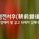 서후랑 이미지