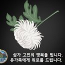 남구-036 이미지