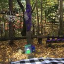 리틀아뜰리에 이미지