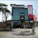 육성떡볶이