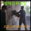 벌떼인력개발 이미지