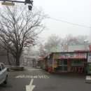 자모 Daum카페
