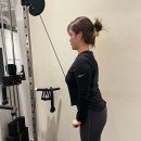 다이어트팩토리 이미지