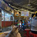 포장맛차 | 배곧 애견동반 술집｜포장마차 감성 제대로인 별도깨비포장맛차 후기