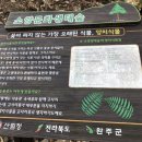 구릉(오성) 네이버블로그