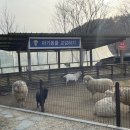 만기목장 이미지