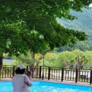 일박이일 B 이미지