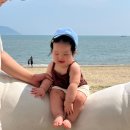 율포해수욕장 | 8개월 아기랑) 광주 근교 전남 보성 &#39;율포솔밭해수욕장&#39; 피크닉 캠핑 후기