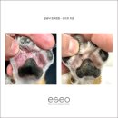 이서동물병원 이미지