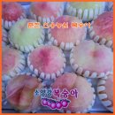 이화농원 | 한 입의 감동, 착한 가격에 두 번 놀란 춘천 소양강복숭아, 50년 복숭아 장인 '선웅농원' 복숭아 직구 후기