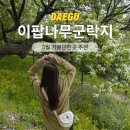 나루터공동체 | 대구 5월 가볼만한곳 추천 이팝나무군락지, 아이랑 데이트 여행코스