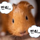 포레그스(삼송점) 이미지