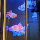 아트타워빌딩 | 롯폰기 야키니쿠 맛집 폰가 프리미엄 도쿄타워 야경 보며 와인 한잔