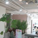 24시VIP헤어살롱 네이버블로그