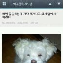 나도 - 영광군 천년로 4-1 | 나도
