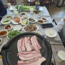 한재스타미나리 이미지