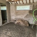 하동호호스테이 이미지