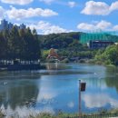 동백호수공원 이미지