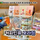용인 보라동 카페 '커피인류 보라점' 한국민속촌 마카롱 디저트 맛집 내돈내산