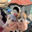 설악복식당 이미지