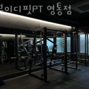 알브이디핏 PT 이미지