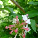 댕강 댕강 이미지