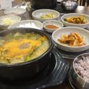 천지흑염소