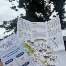 2025 금당야행 이미지