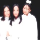 SES 카카오 검색결과