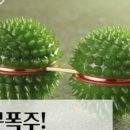 대경의료기 이미지